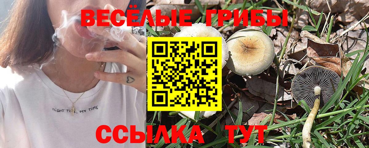 Галлюциногенные грибы Cubensis Набережные Челны