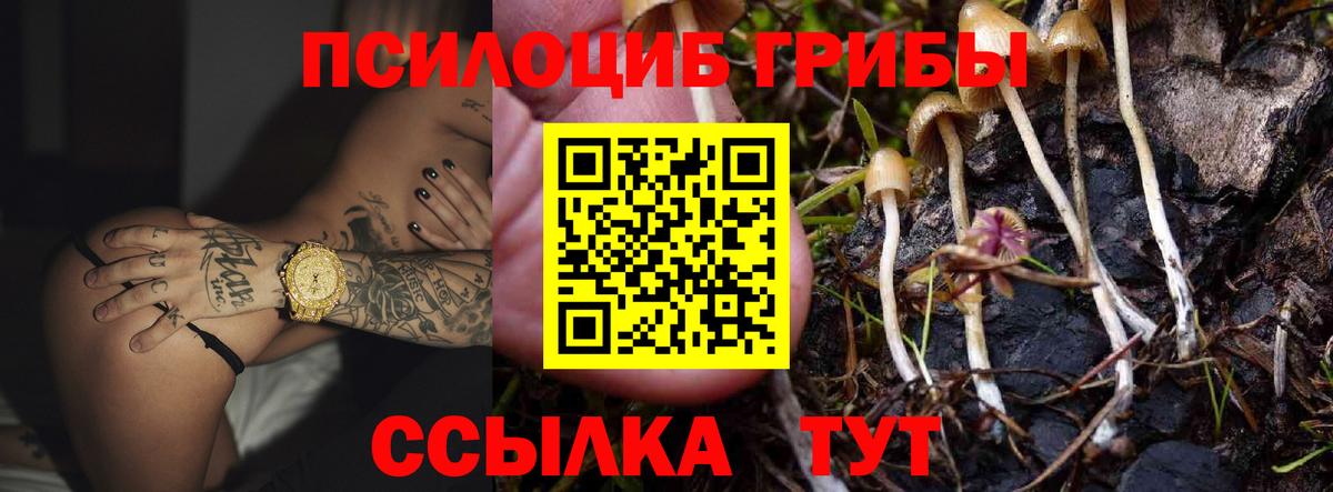 Псилоцибиновые грибы GOLDEN TEACHER  Вход с VPN  Набережные Челны 